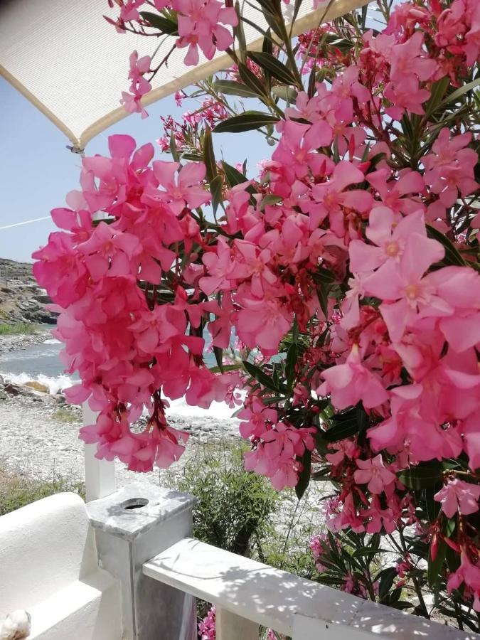 Villa "Sea Front" Rose'S House à Kardhianí Extérieur photo